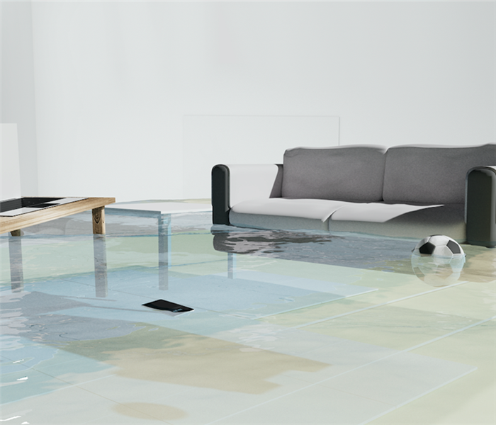 Flooded living room with couch and tv.