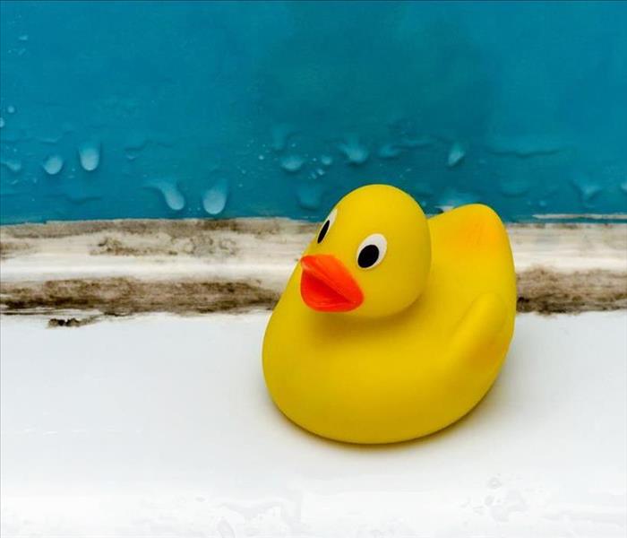 yellow ducky, mold, bathtub