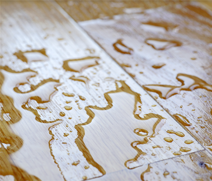 puddles of water on the wood floor