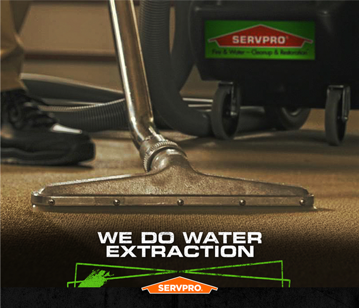 water extraction from carpet with a wand and vac