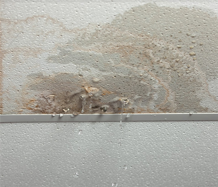 water leaking through ceiling tiles