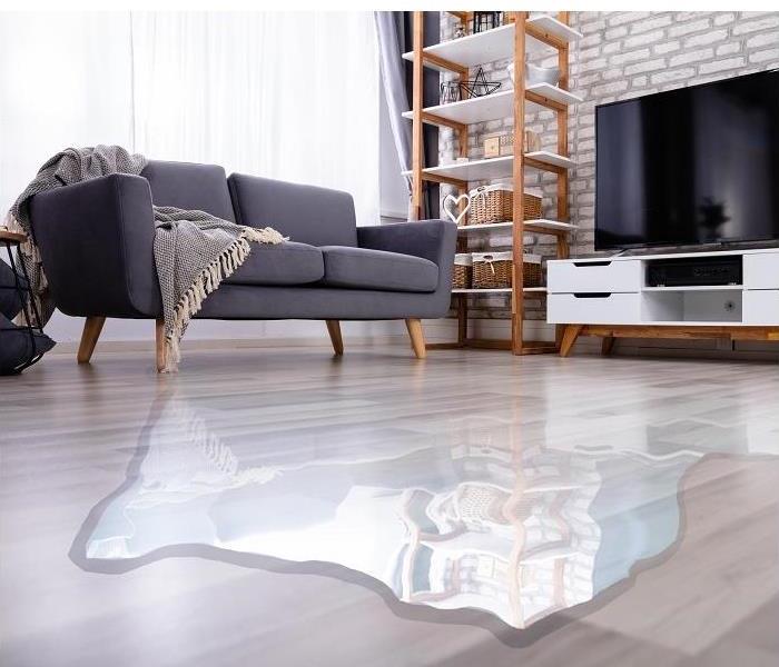 water pooling on living room floor. sofa in background