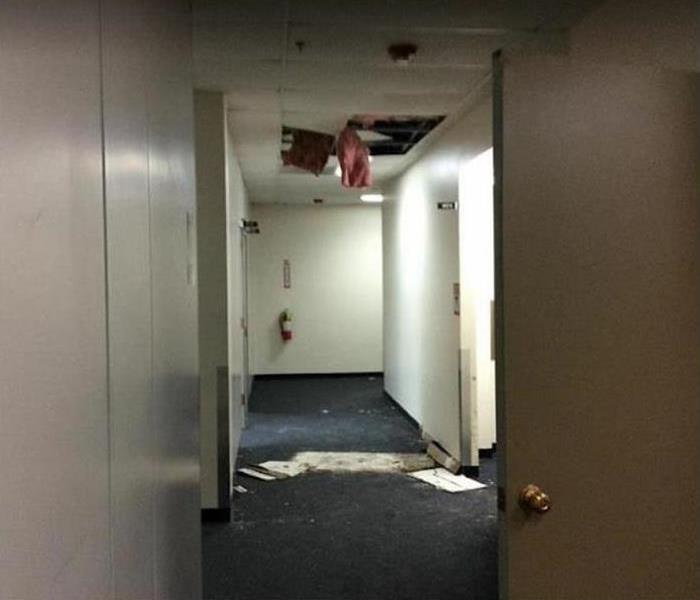 When damaged ceiling; insulation falling from ceiling tiles