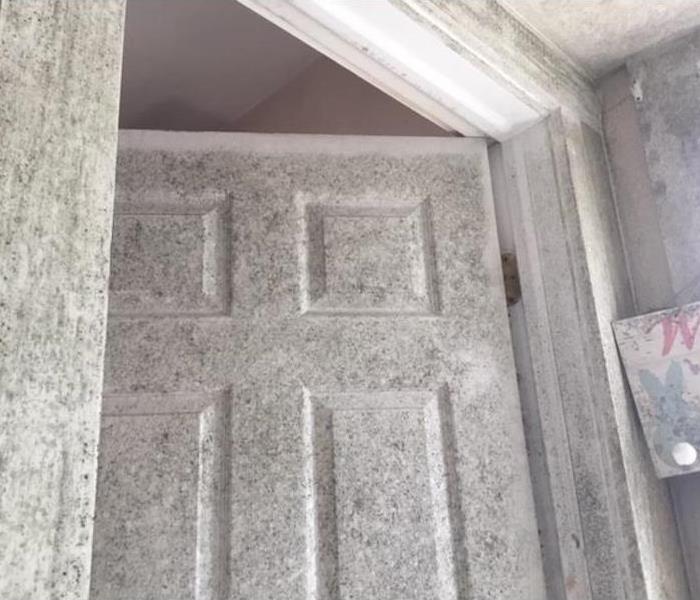 mold damage door and ceiling