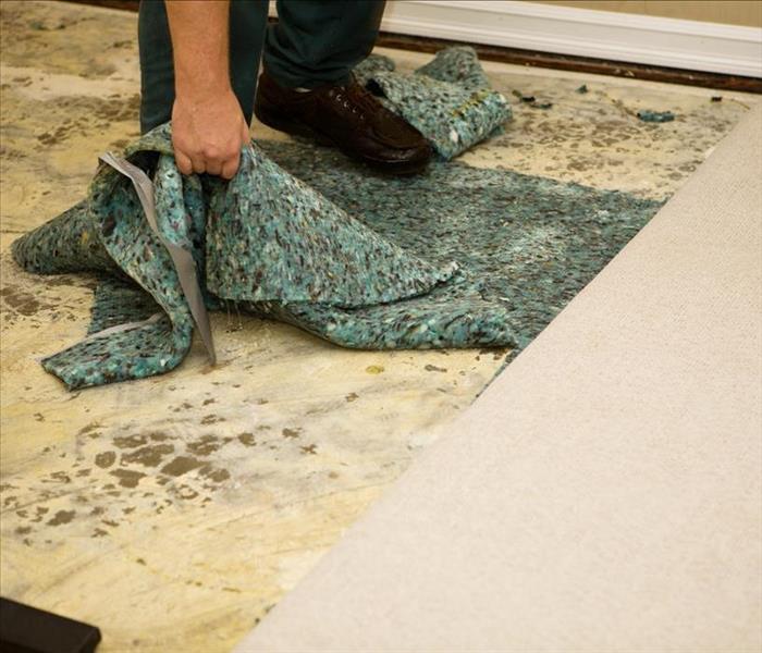 carpet and subfloor damaged by water